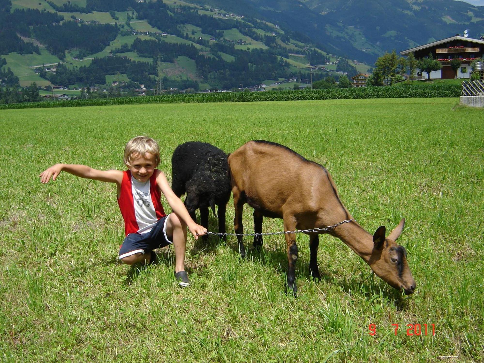 Larchergut Mayrhofen Dış mekan fotoğraf