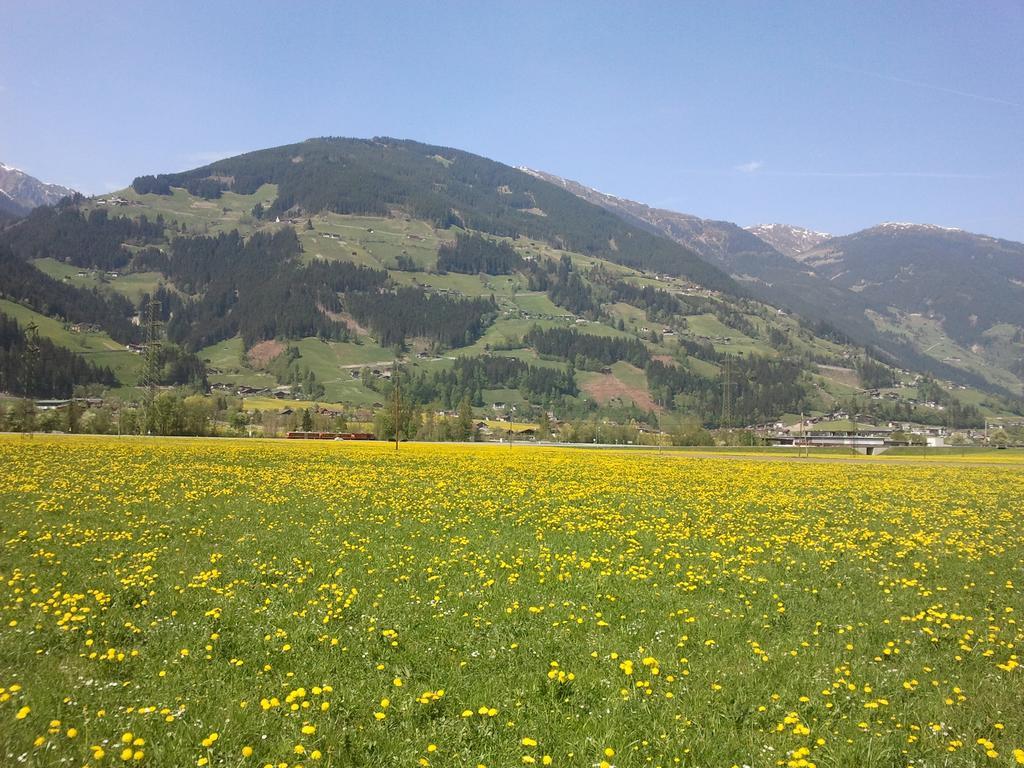 Larchergut Mayrhofen Dış mekan fotoğraf