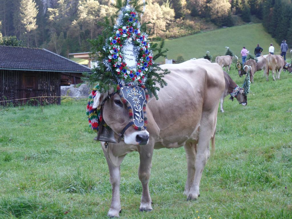 Larchergut Mayrhofen Dış mekan fotoğraf